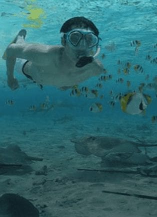 Swim With Sharks And Rays