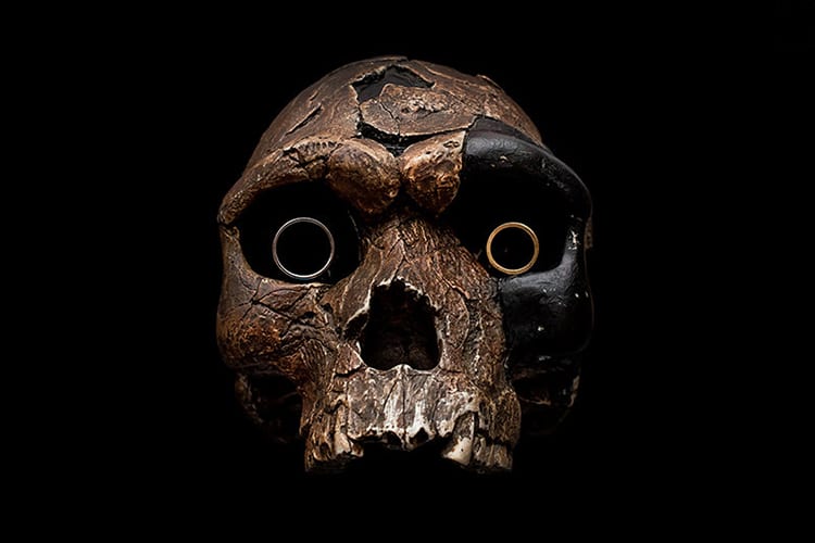 An old skull with rings for eyes