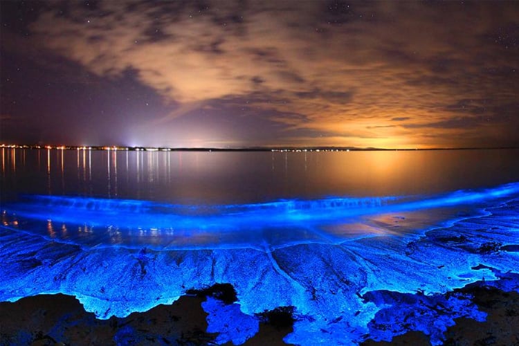 A bioluminescent river in Vieques, Puerto Rico