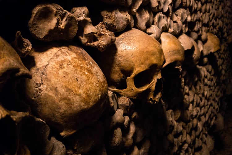Haunted Honeymoon - view of skulls in a French crypt