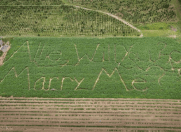 The Message-in-a-Cornfield Proposal